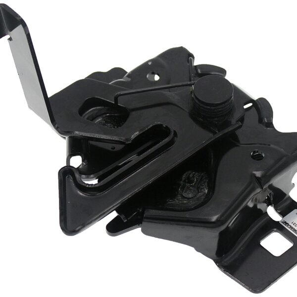 Dorman DOR-820-031 Hood Latch Assembly