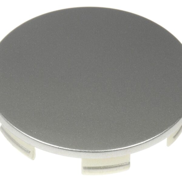 Dorman DOR-909-100 Silver Painted Wheel Center Cap
