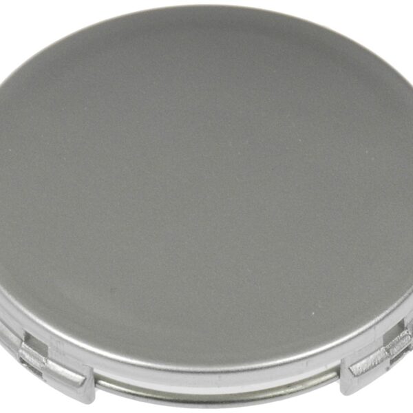 Dorman DOR-909-120 Silver Painted Wheel Center Cap