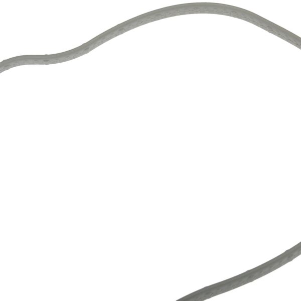 Dorman DOR-918-369 Crankcase Filter Housing Gasket