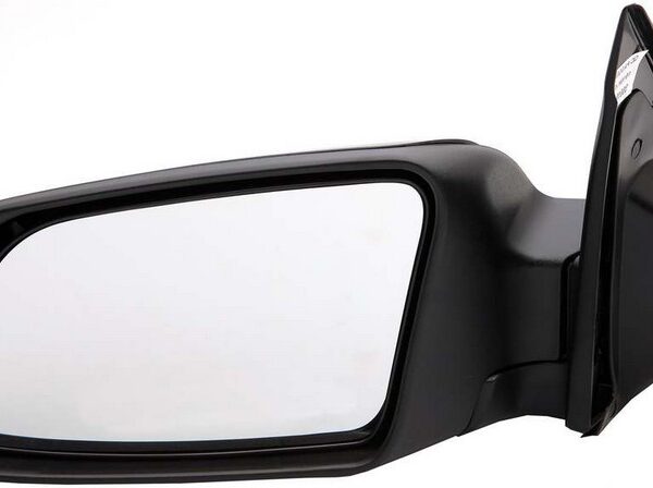 Dorman DOR-955-1110 Side View Mirror Left Power; Signal Lamp (PTM)