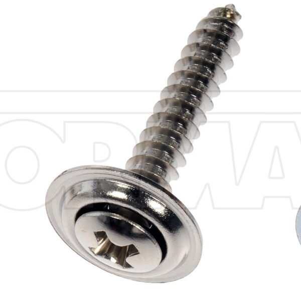 Dorman DOR-961-235D Trim Screw Assortment - Chrome - No.8, No.10