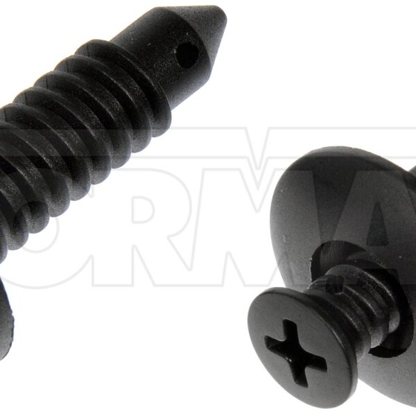 Dorman DOR-961-368D Nylon Screw And Retainer Assortment