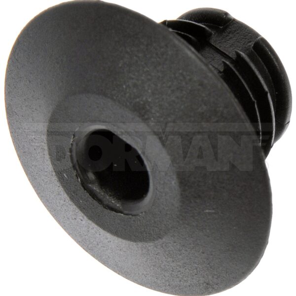 Dorman DOR-963-034D GM Molding Retainer
