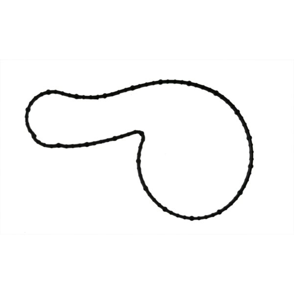 Fel-Pro FEL-36118 Engine Water Pump Gasket