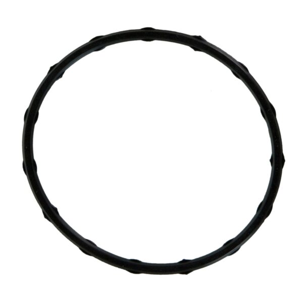 Fel-Pro FEL-72767 Fuel Injection Plenum Gasket Set