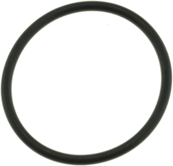 Gates 33671 Engine Coolant Thermostat Seal – Topspeed Automotive Ltd