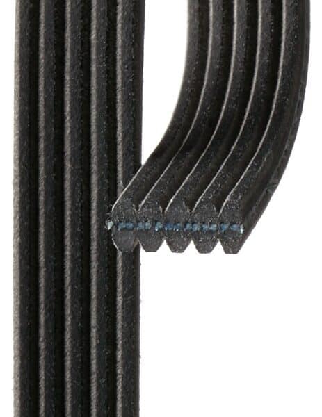 Gates DK050610 Micro-V Dual-Sided Serpentine Drive Belt