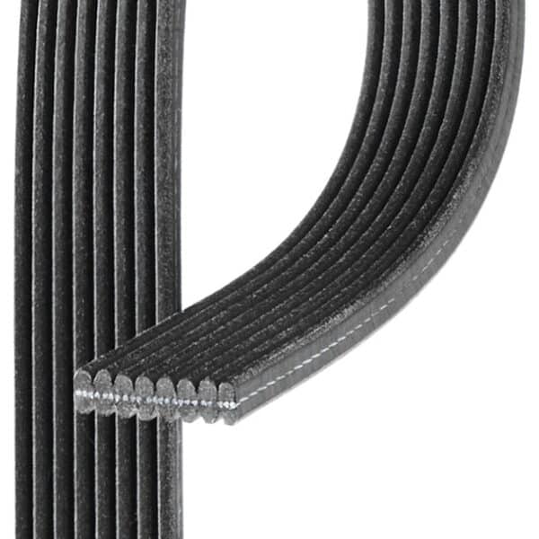 Gates DK081403 Micro-V Dual-Sided Serpentine Drive Belt