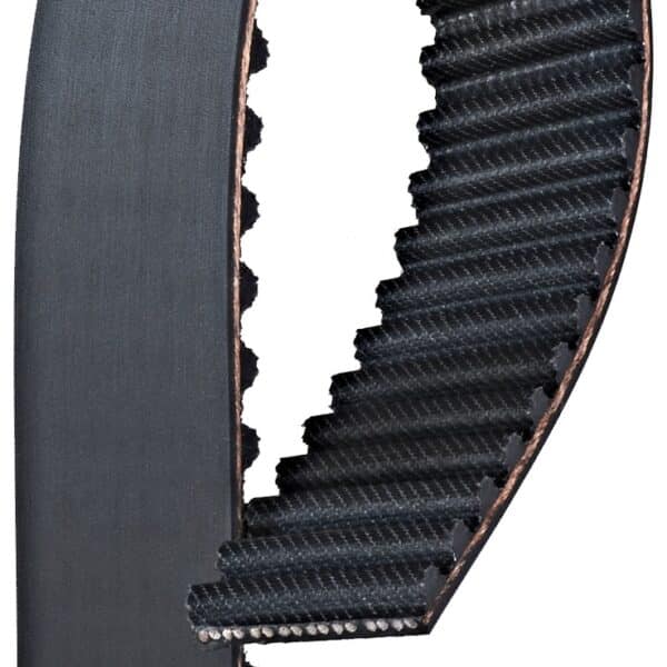 Gates T317 Premium Automotive Timing Belt