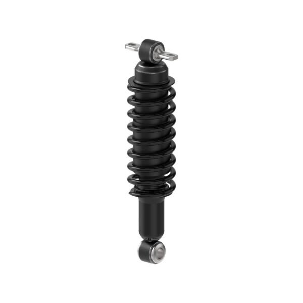 Monroe 58411 - Load Adjusting Rear Shock Absorber and Coil Spring Pack of 2