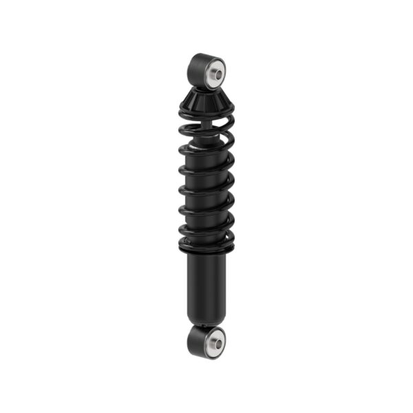 Monroe 58598 - Load Adjusting Rear Shock Absorber and Coil Spring Pack of 2