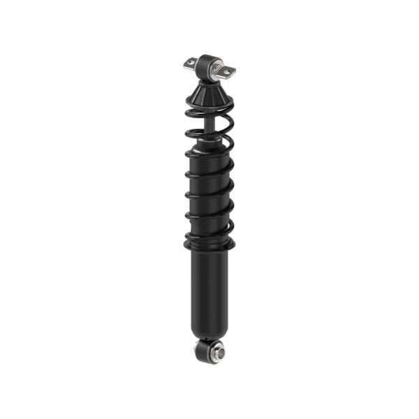 Monroe 58600 - Load Adjusting Rear Shock Absorber and Coil Spring Pack of 2