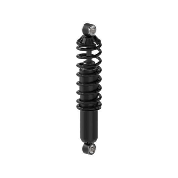 Monroe 58601 - Load Adjusting Rear Shock Absorber and Coil Spring Pack of 2