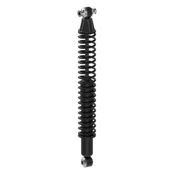 Monroe 58656 - Load Adjusting Rear Shock Absorber and Coil Spring Pack of 2