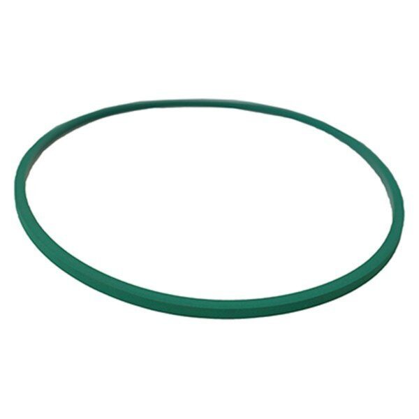 Motorcraft CG796 - Fuel Pump Tank Seal