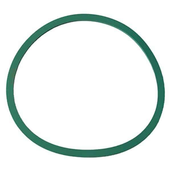 Motorcraft CG801 - Fuel Pump Tank Seal