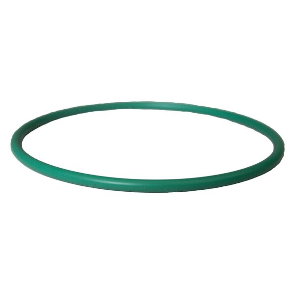 Motorcraft CG807 - Fuel Pump Tank Seal