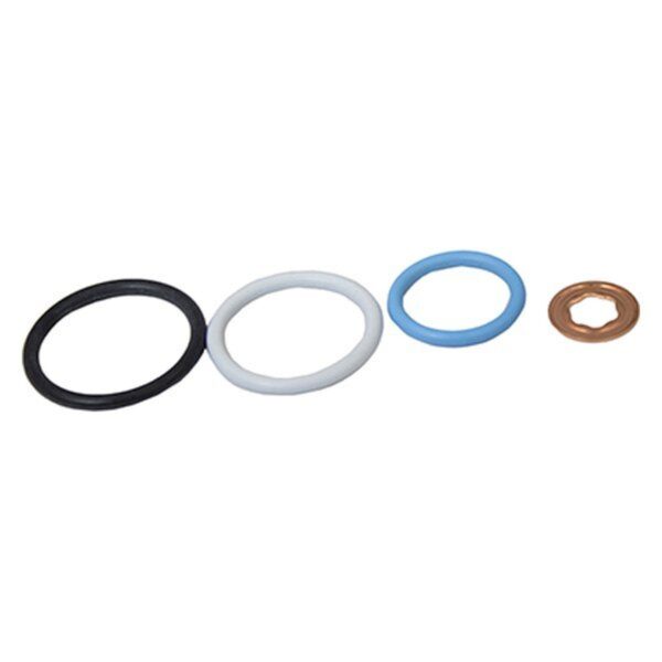 Motorcraft CM5055 - Fuel Injector Seal Kit