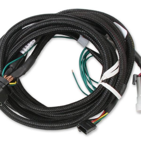 MSD-80002 EFI And LS Harness - Pro 600